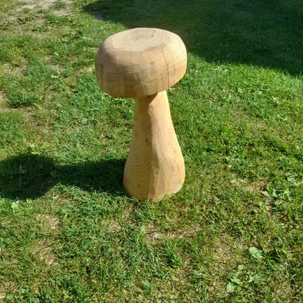 Pilz aus Fichte