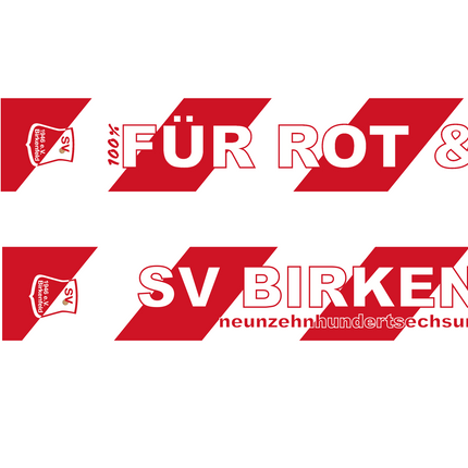 SVB Fanschal