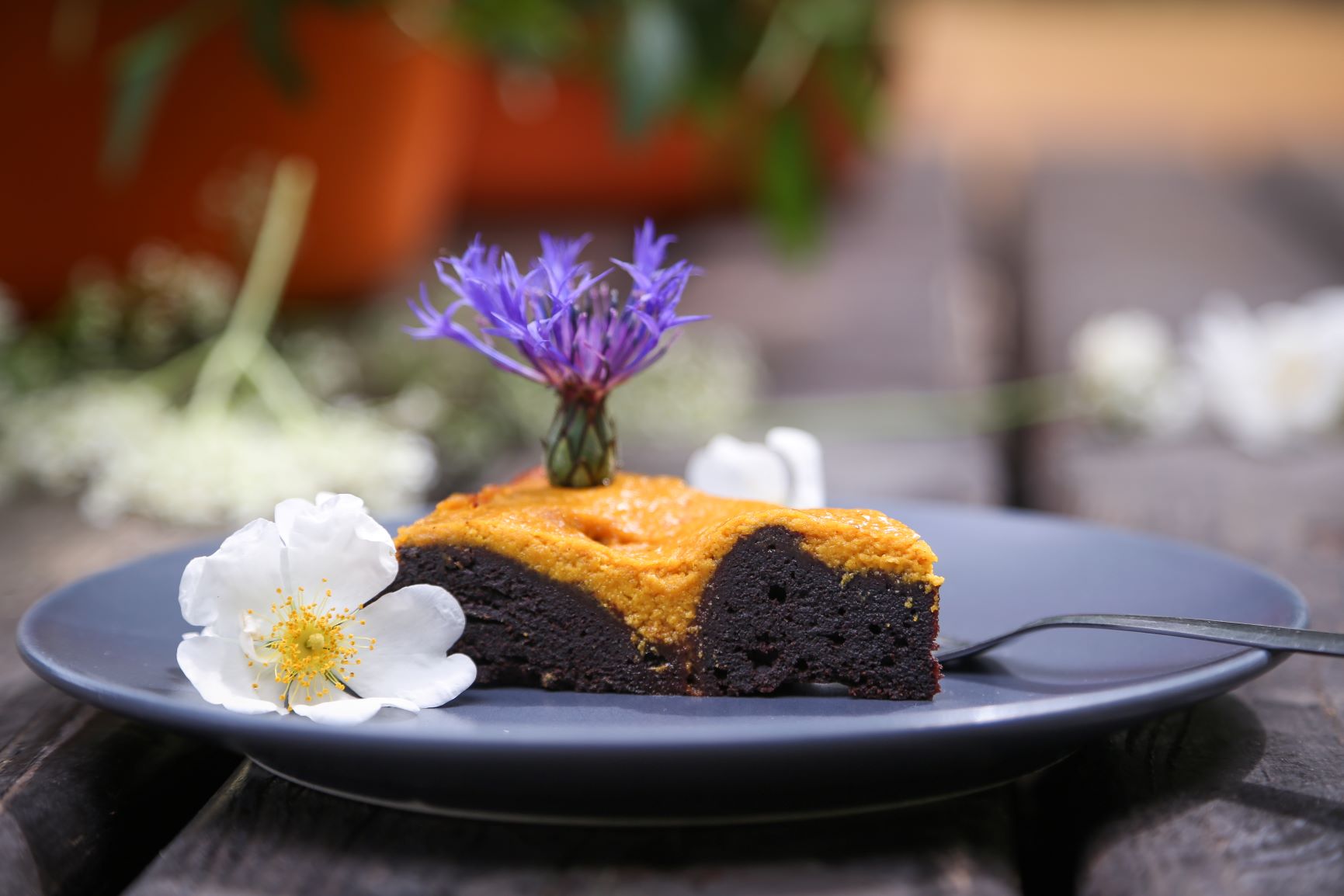 Saftige Kürbis-Brownies mit Schoko-Swirl
