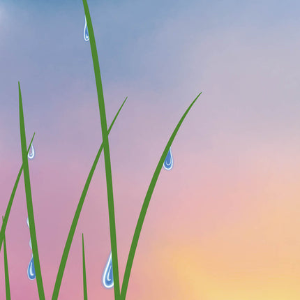 „Wendelin, der Wasserzwerg“ – Kinderbuch über Berufung & Sinn des Lebens ab 6 Jahren