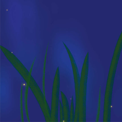 Bilder Glühwürmchen