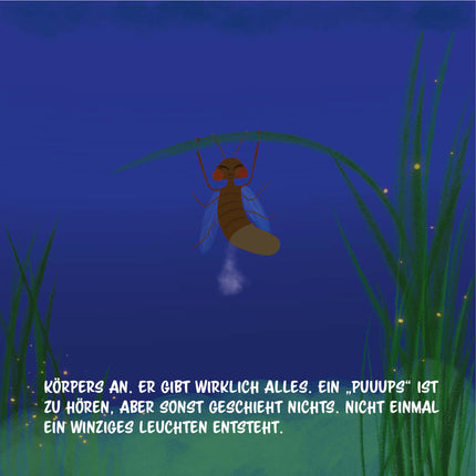 Bilder Glühwürmchen