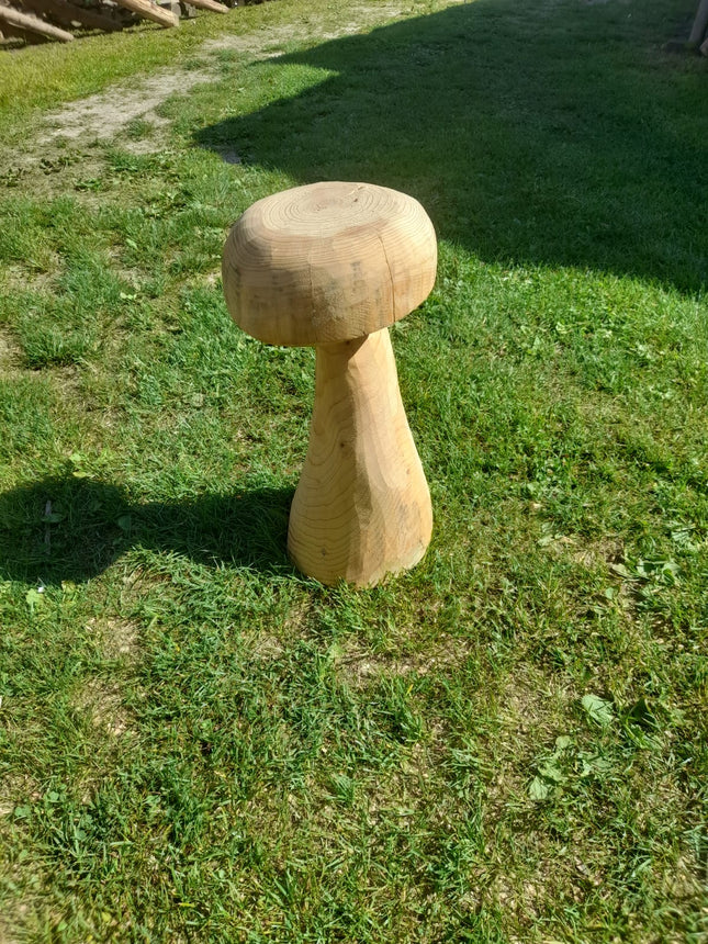Pilz aus Fichte