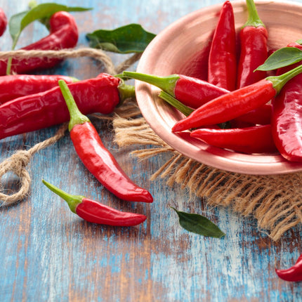 Pesto Bärlauch - Chili | Bio | vegan | glutenfrei