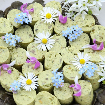 Pesto Puszta | Bio